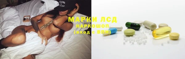 ГАЛЛЮЦИНОГЕННЫЕ ГРИБЫ Алзамай
