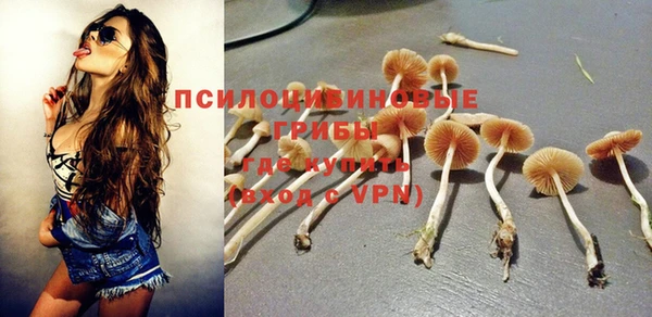 МДПВ Няндома