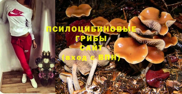 марки nbome Алексеевка