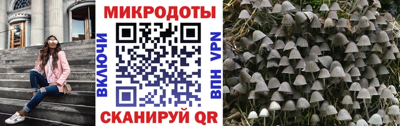 где продают наркотики  Тюкалинск  Псилоцибиновые грибы MAGIC MUSHROOMS 